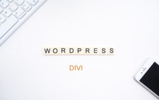 wordpress-divi-zone-of-web